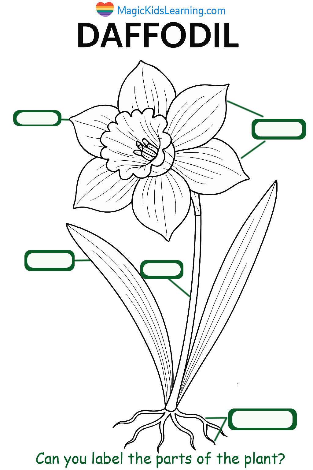 Draw And Label The Parts Of A Flower